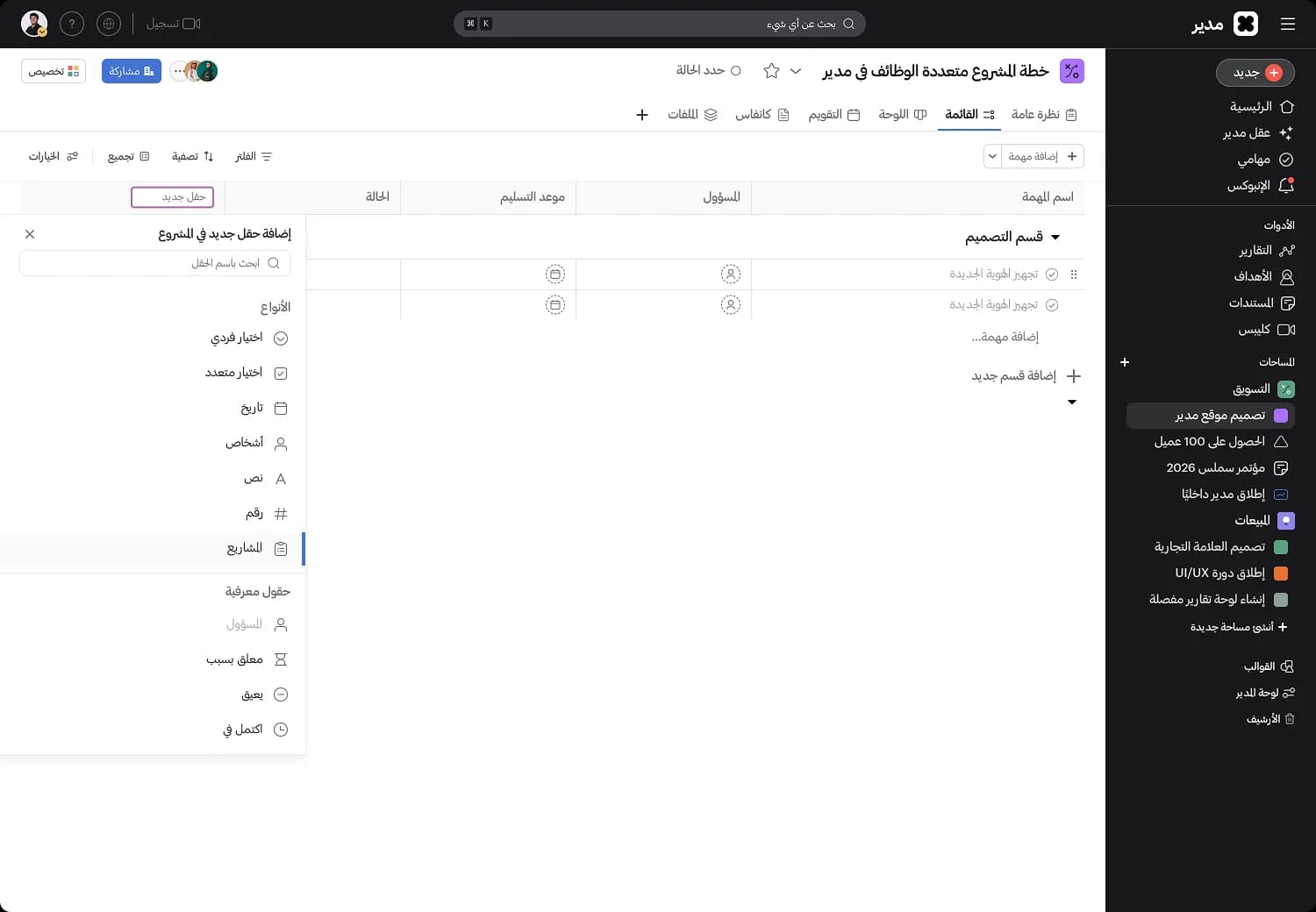Project Custom Fields
